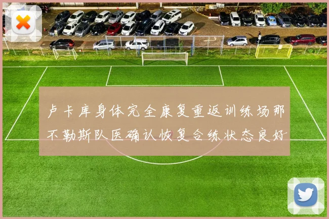 卢卡库身体完全康复重返训练场那不勒斯队医确认恢复合练状态良好